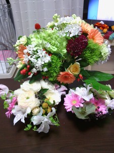 IMG_20120321_230619.jpg